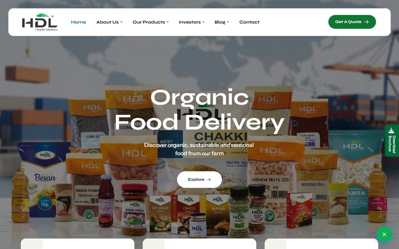 HDL Global website on desktop: the HDL Global homepage for an Indian grocery exporter